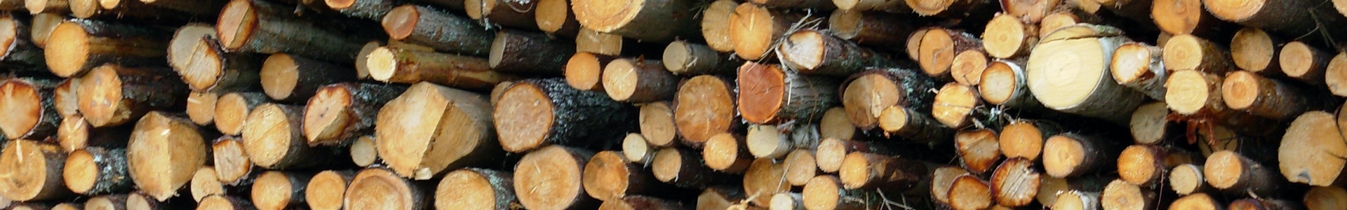 Copestone Copywriting forestry pulp and paper copywriter
