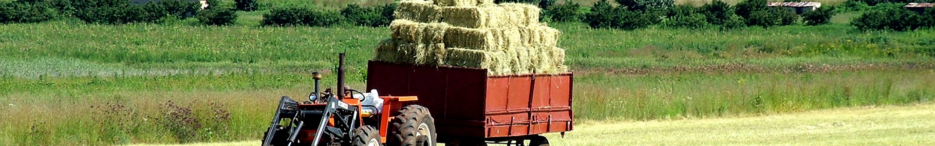 Copestone Copywriting rural affairs copywriter